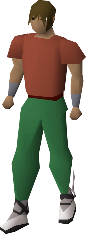 Graceful boots (Kourend) equipped male.png