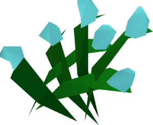 Flax detail.png