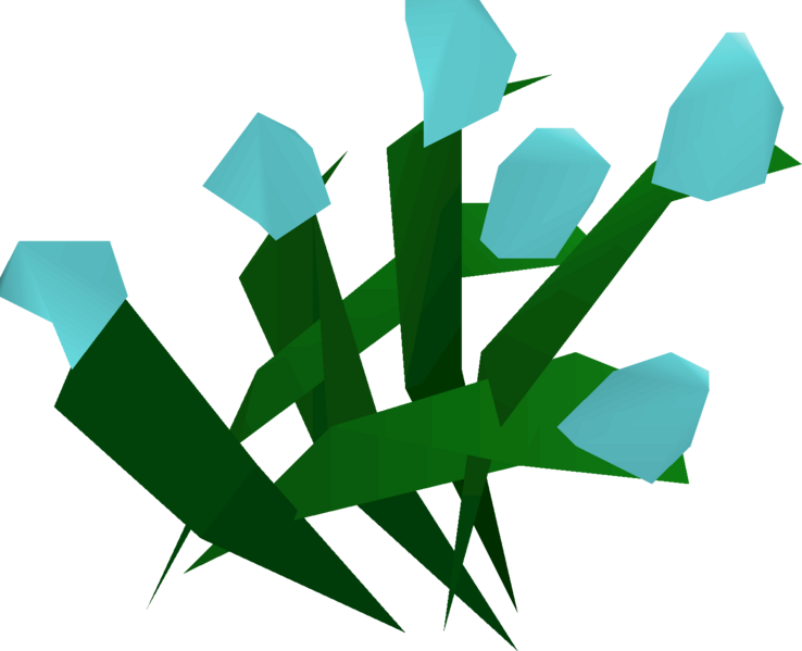 File:Flax detail.png