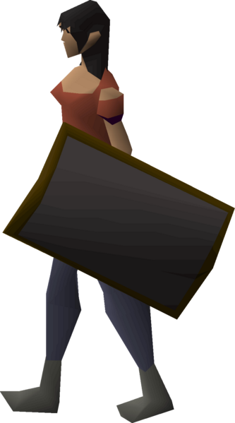 File:Iron sq shield equipped female.png