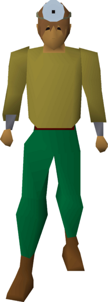 File:Doctor's hat equipped.png