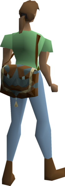 File:Extradimensional bag equipped female.png