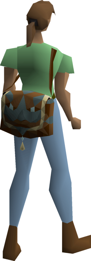 Extradimensional bag equipped female.png