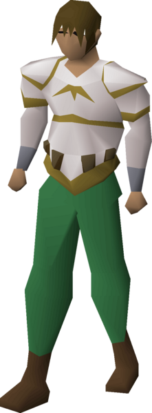 File:Bandos robe top equipped male.png