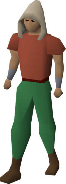 File:Magic hood equipped.png