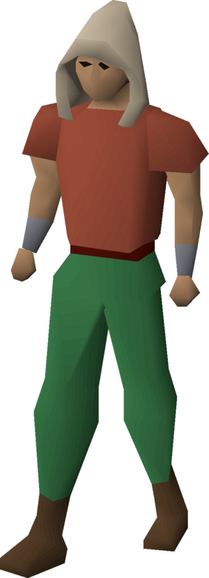 Magic hood equipped.png