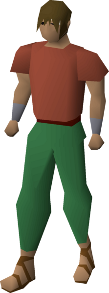 File:Villager sandals (brown) equipped male.png