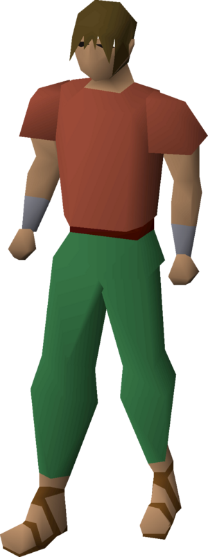 Villager sandals (brown) equipped male.png