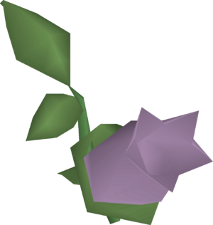 Cave nightshade detail.png