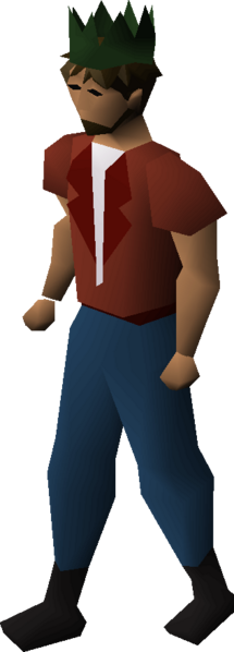 File:Dark green partyhat equipped male.png