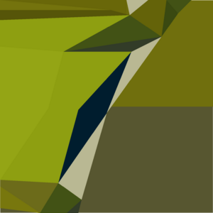 Sliding piece (Zulrah 15) detail.png