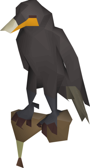 Cormorant's glove (bird) detail.png