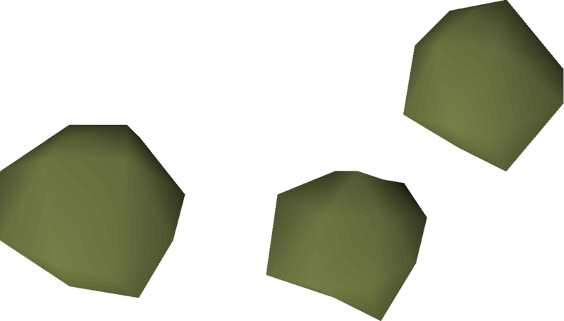 File:Rosemary seed 3 detail.png