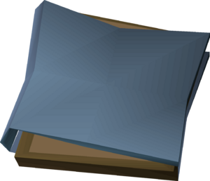 Burnt diary (1) detail.png