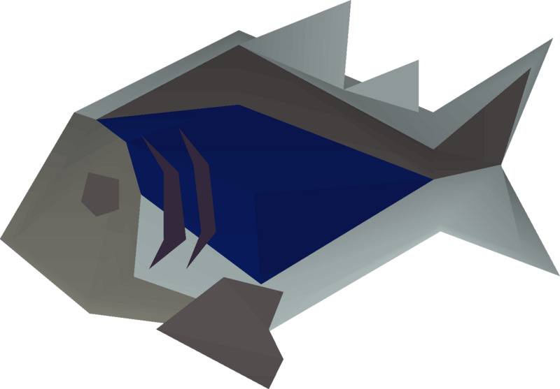 File:Burnt rainbow fish detail.png