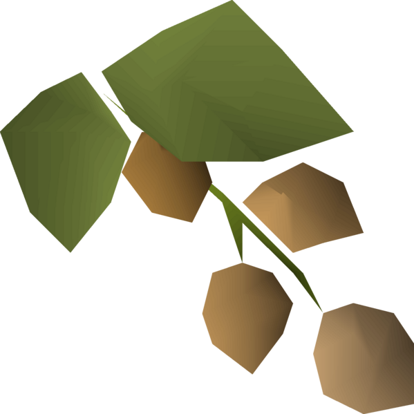 File:Krandorian hops detail.png