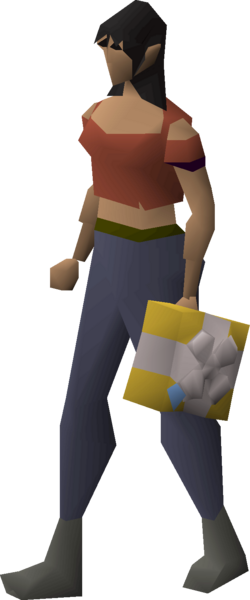 File:Secret santa present (gold) equipped female.png