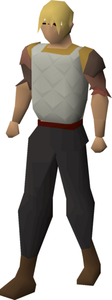 File:Mixed hide top equipped male.png