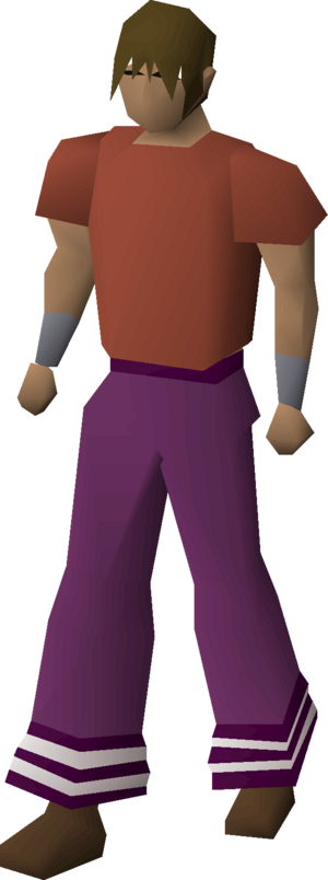 Purple navy slacks equipped male.png
