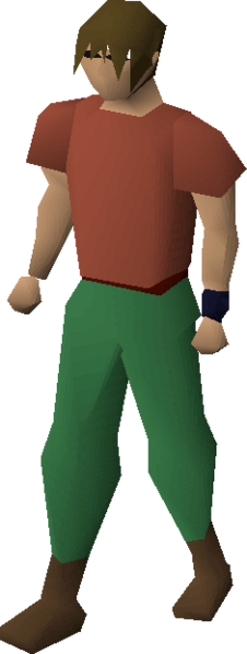 File:Regen bracelet equipped.png