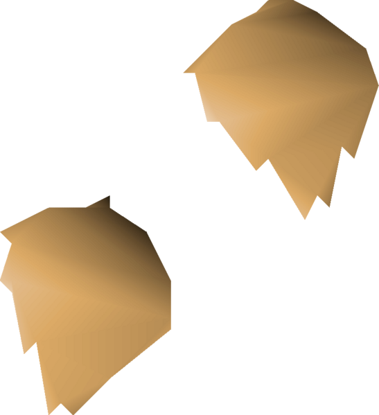 File:Tomato seed 2 detail.png