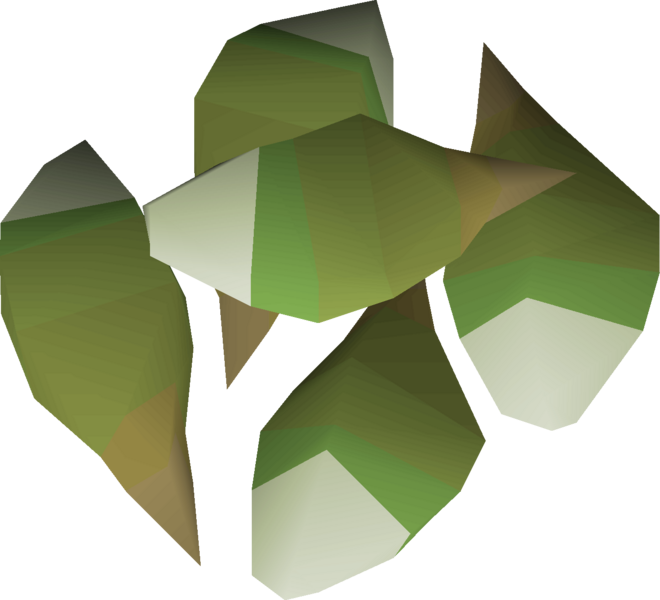 File:Hardy gout tubers detail.png