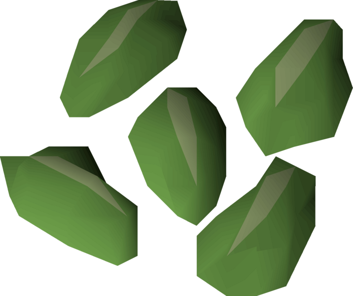 File:Vine seed detail.png