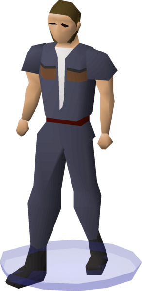 File:Clan wars cape (PVP Championship Blue 11) equipped.png