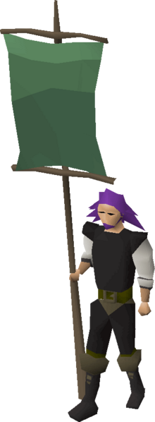 File:Green banner equipped.png