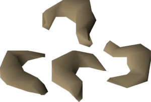 Nasturtium seed 4 detail.png