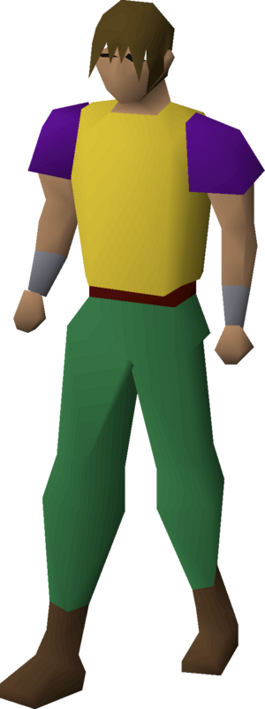 Menaphite purple top equipped male.png