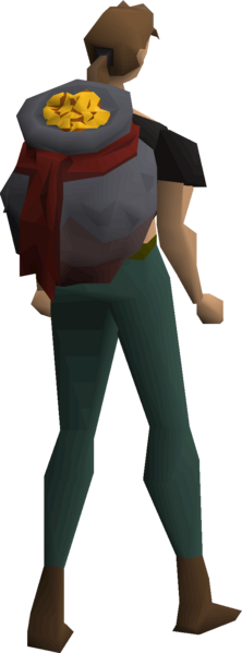File:Infinite money bag equipped female.png