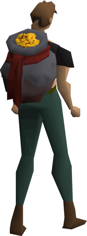 Infinite money bag equipped female.png