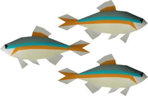 Minnow 3 (v1) detail.png