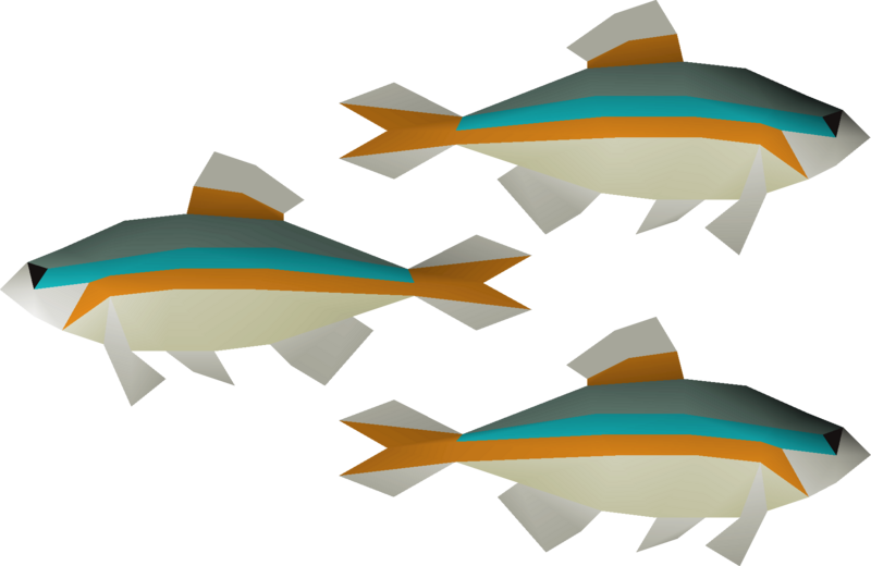 File:Minnow 3 (v1) detail.png