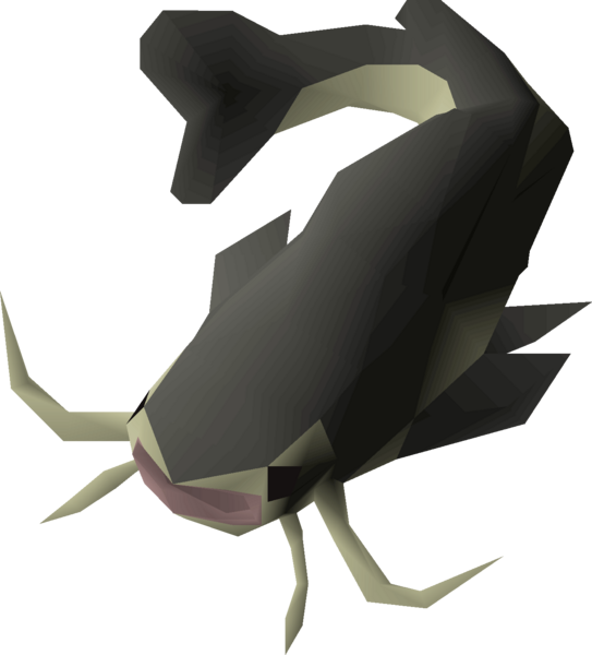 File:Raw catfish detail.png