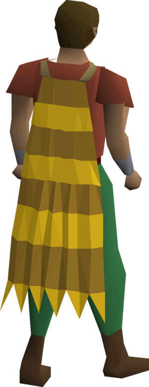 Team-15 cape equipped.png