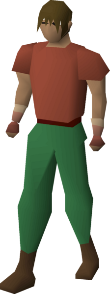 File:Wristbands of the arena (i) equipped male.png