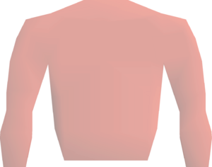 Ankou top detail.png