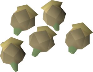 Celastrus seed detail.png