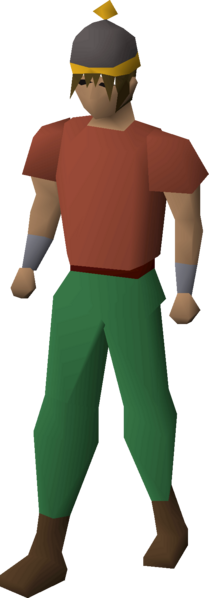 File:Bobble hat equipped male.png