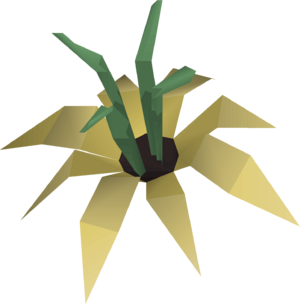 Vine flower detail.png