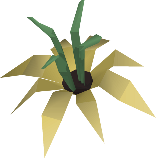 File:Vine flower detail.png