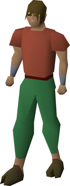 File:Cow shoes equipped male.png