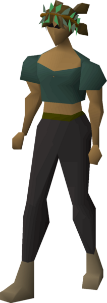 File:Druidic wreath equipped female.png