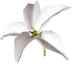 White lily detail.png
