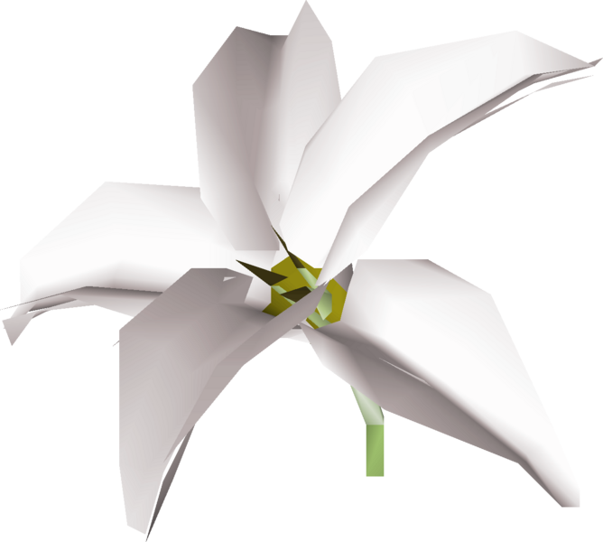 File:White lily detail.png