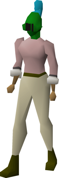 File:Rune heraldic helm (Guthix) equipped female.png