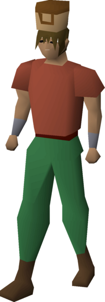 File:Villager hat (brown) equipped male.png