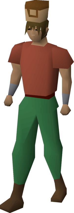 Villager hat (brown) equipped male.png